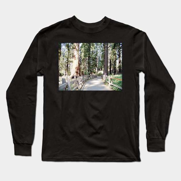 Yosemite Pathway Long Sleeve T-Shirt by MAMMAJAMMA